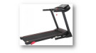 Беговая дорожка Titanium Masters Physiotech TBM